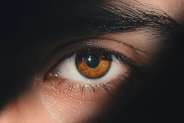 Featured image for Generative AI: From Hype to Real-World Value Creation