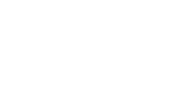The Wise Seeker